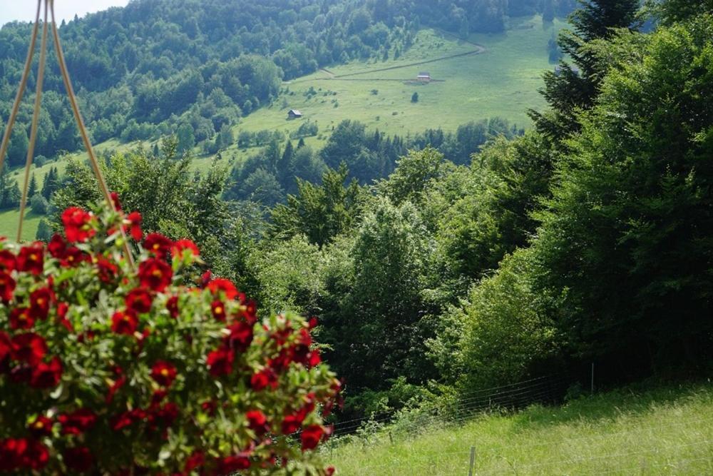 Gorczanskie Siedlisko Ochotnica Górna Exteriör bild